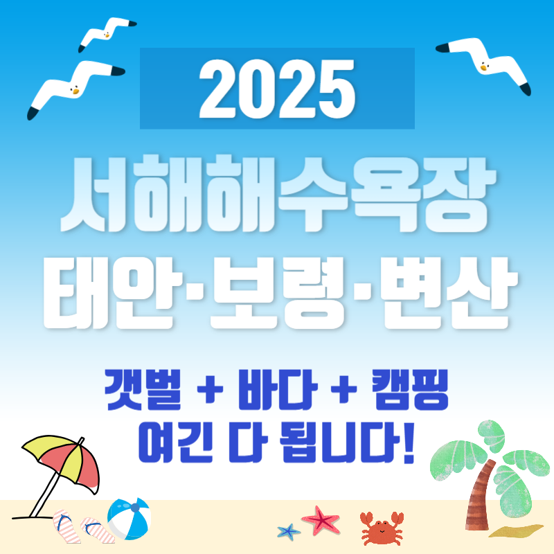 2025 서해안 해수욕장 개장 일정, 태안부터 대천까지 바다 여행 가이드