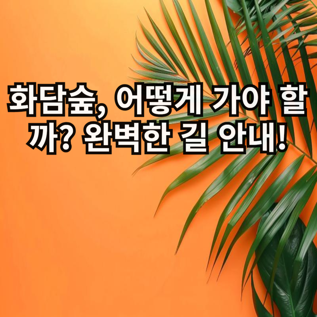 화담숲 가는 길 완벽 가이드🚗 주차부터 셔틀버스까지!