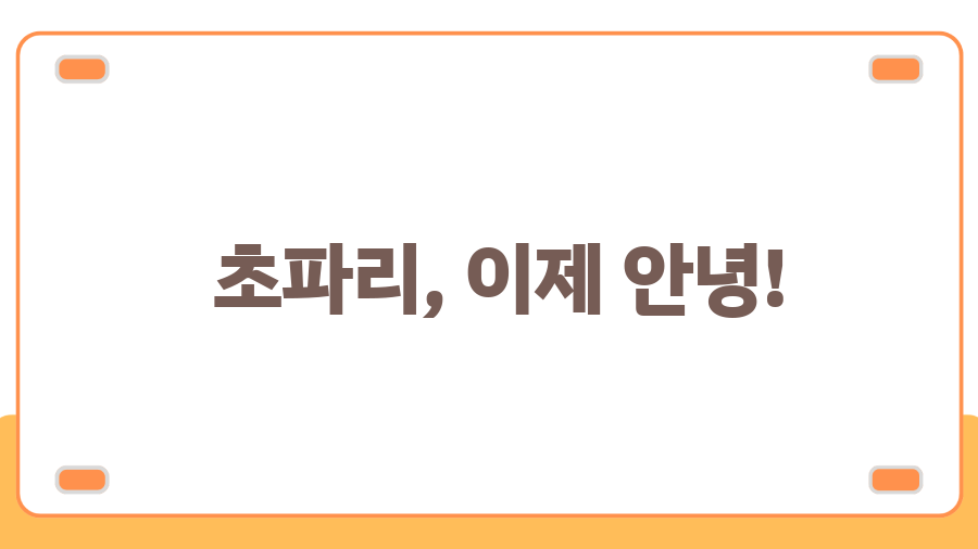 하수구 초파리 박멸! 3가지 방법으로 초파리 완벽 퇴치! - 초파리, 이제 안녕! 하수구 초파리 박멸! 3가지 방법으로 초파리 완벽 퇴치! - 초파리, 이제 안녕!