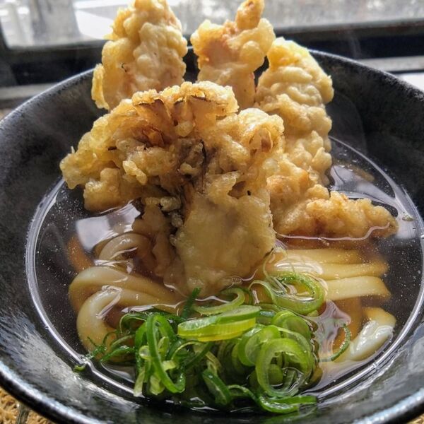 오사카 가이유칸 수족관(해유관) 입장권 예매(예약), 가격, 가는법, 영업시간, 맛집(식당)추천 3곳까지 총정리!