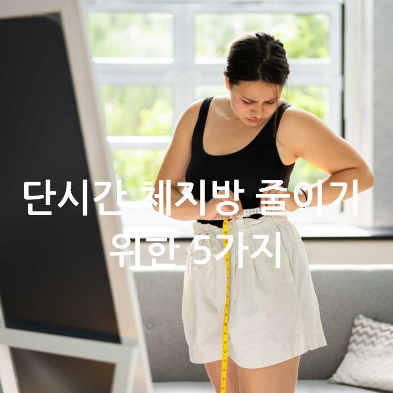 단기간 체지방 줄이는법