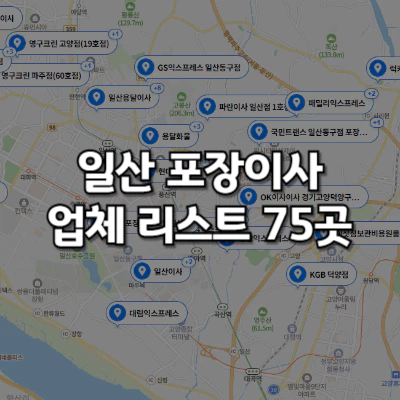 일산 포장이사 업체