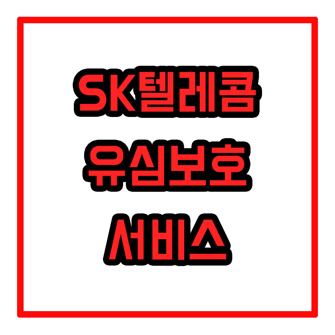 sk텔레콤 유심보호 서비스