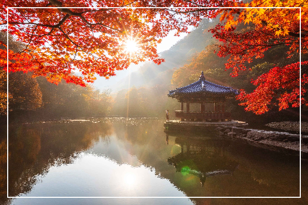 내장산 우화정 이미지