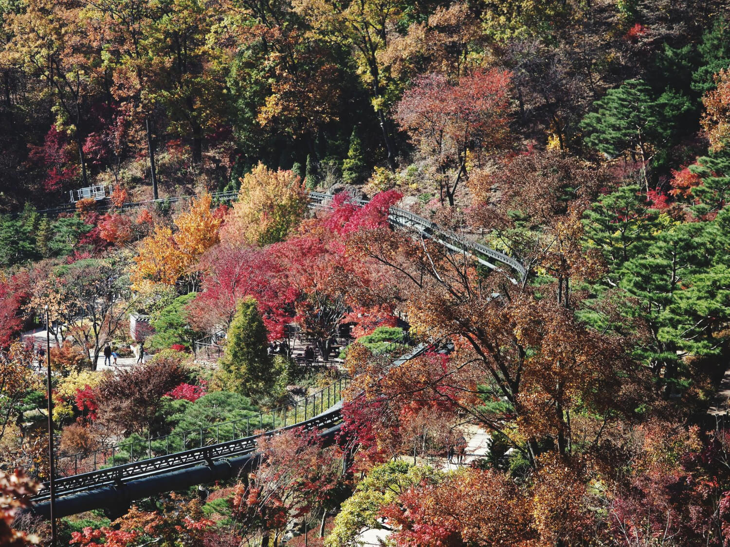 2025 화담숲 예약 방법