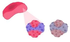 혈소판 수치 올리는 방법