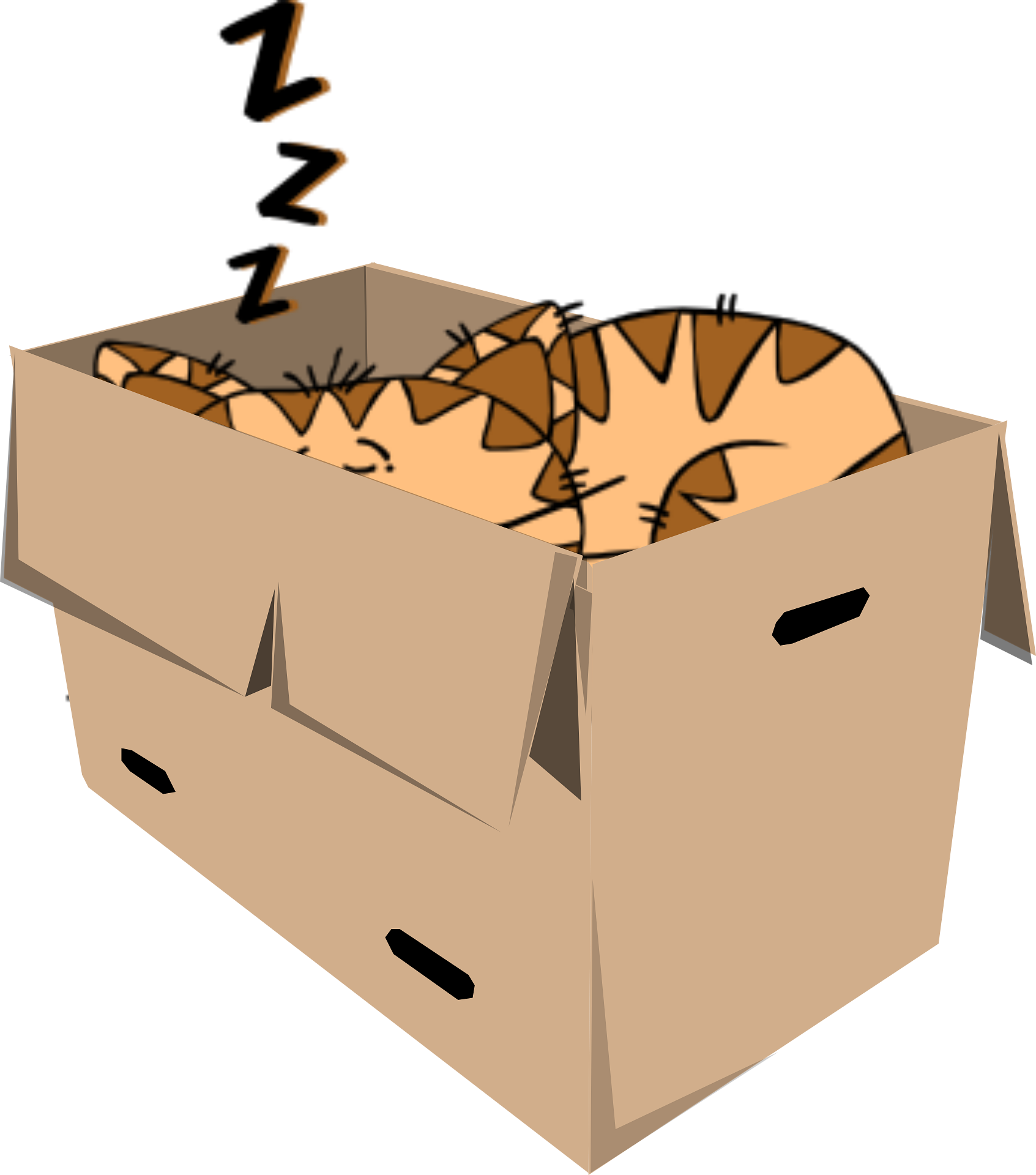 중년 이후 낮잠이 건강에 미치는 영향