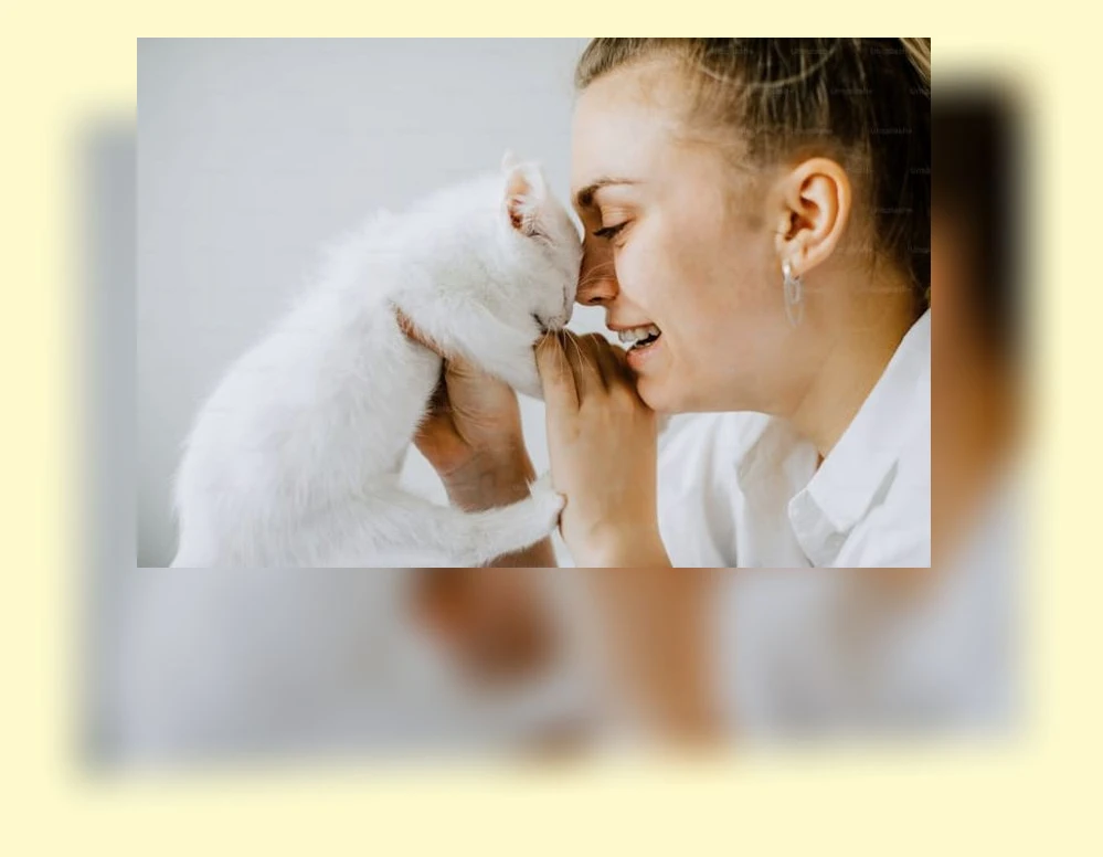 고양이 감정 이해_2_subsection