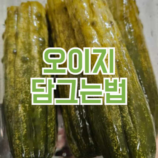 오이지 담그는법 레시피 보관방법 완벽정리!