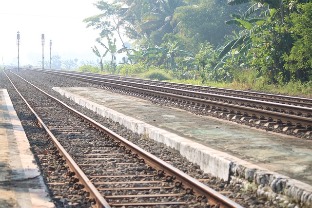 열차 지나가는 철로