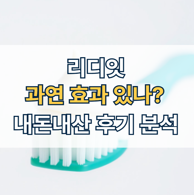 리디잇-효과-내돈내산-후기