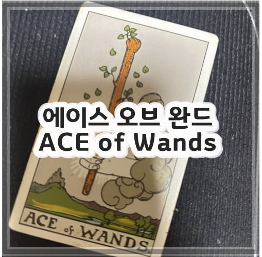 에이스 오브 완드 ACE of Wands