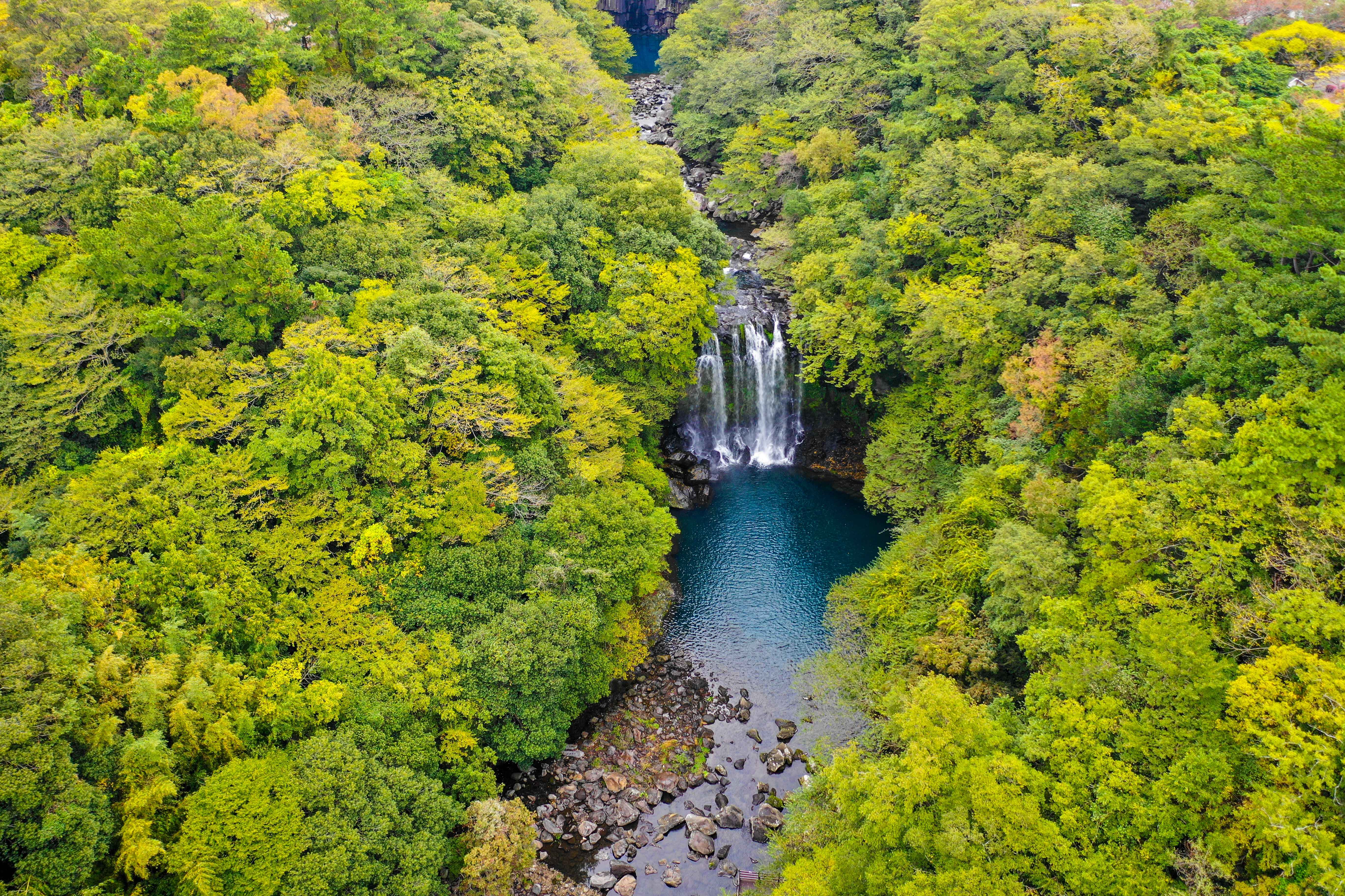 제주도 천제연 폭포 사진
