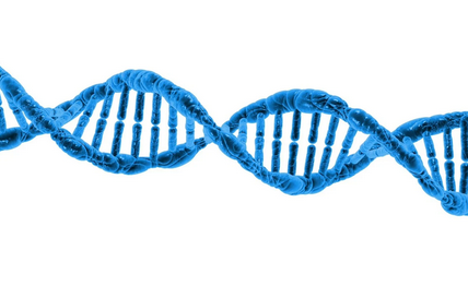 DNA의 구조와 복제 과정