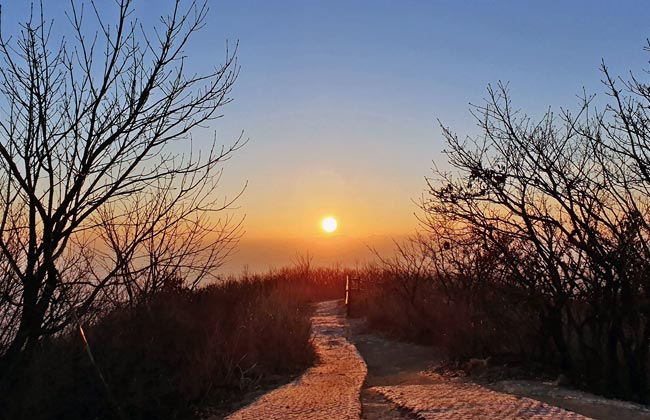 토함산 정상 일출