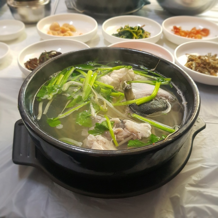 식객 허영만 백반기행 167회 왕지혜 편 피로와 숙취를 한 방에 날려주는 자연산 참복국 복지리 경남 사천 삼천포 맛집 소개
