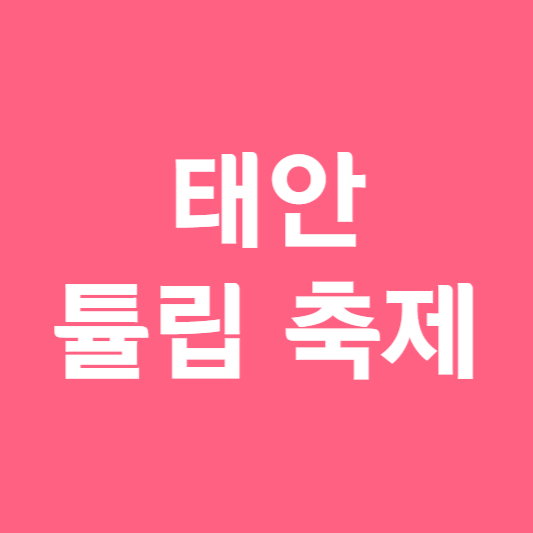 태안 튤립축제 기간