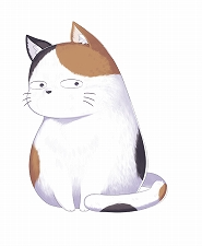 단풍나무