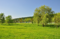 서울 가볼만한 곳 난지 한강공원
