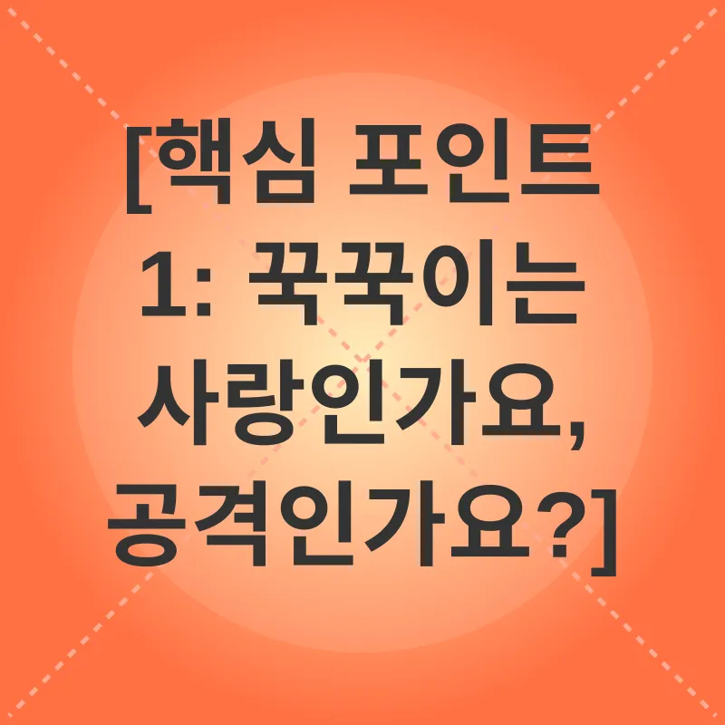 고양이 애정표현_1