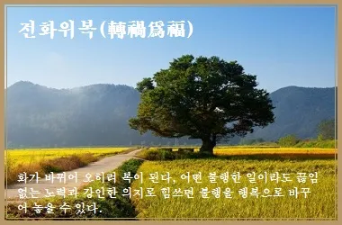전화위복 뜻 유래 한자 비슷한 말 예문 영어 속담 반대말 정리_2