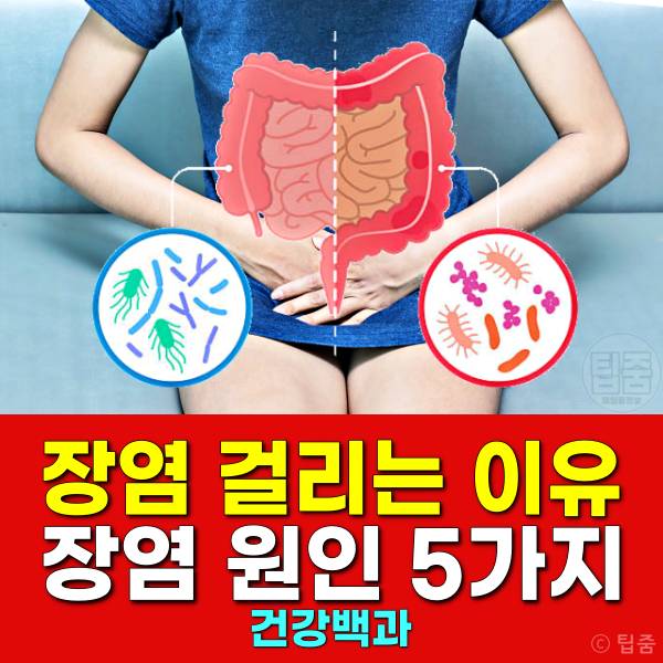 장염 걸리는 이유 장염 원인 장내 미생물 불균형