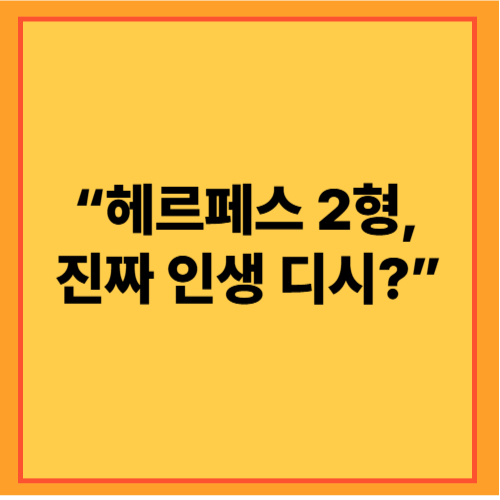 헤르페스 2형 '인생 디시'? 실제 후기와 관리법 정리