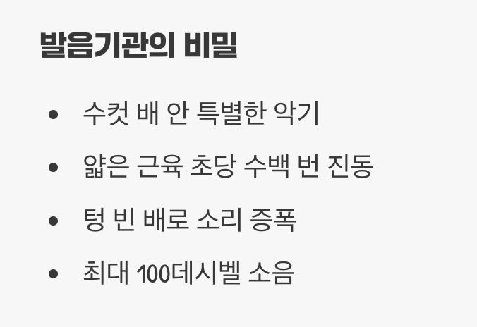 몸속의 작은 스피커, 발음기관의 비밀