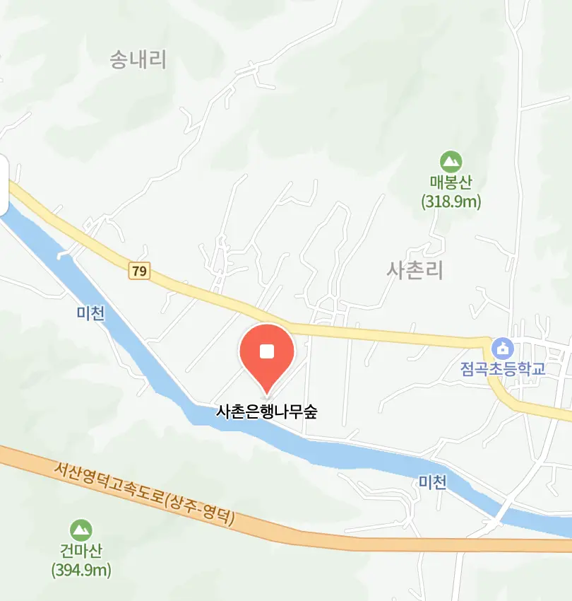 사촌은행나무숲