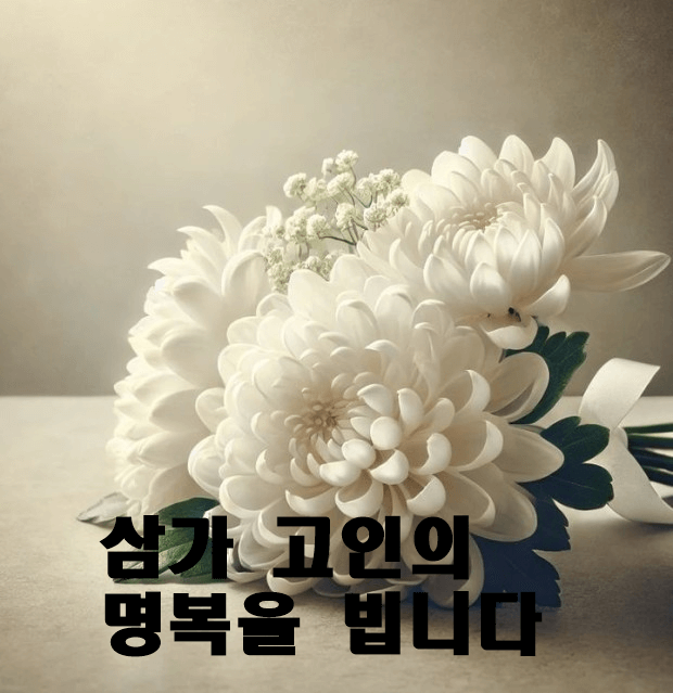 국화한송이