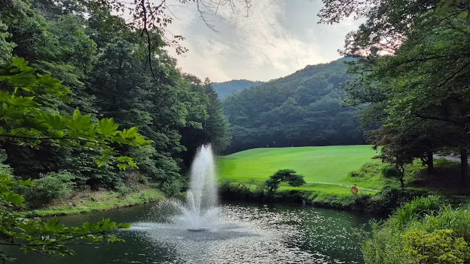 경기도 용인 양지파인CC 골프장 소개 및 예약방법
