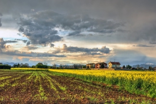 농가직불금 신청 자격 신청기간-2