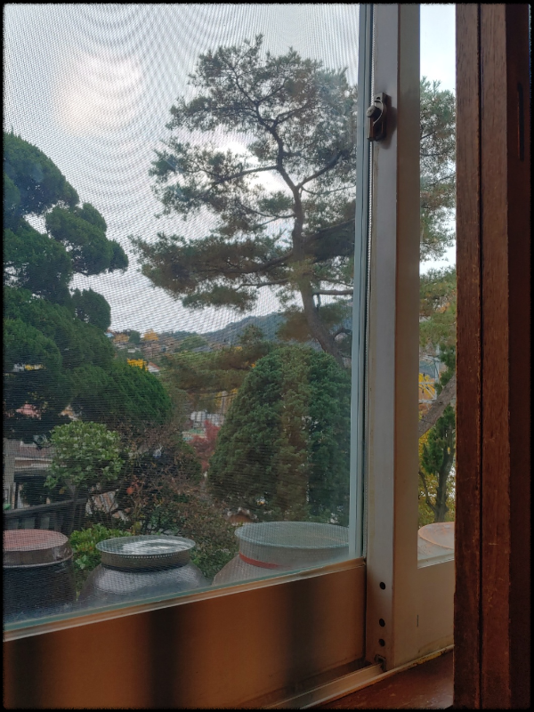 자하손만두-면접-전-바라본-풍경