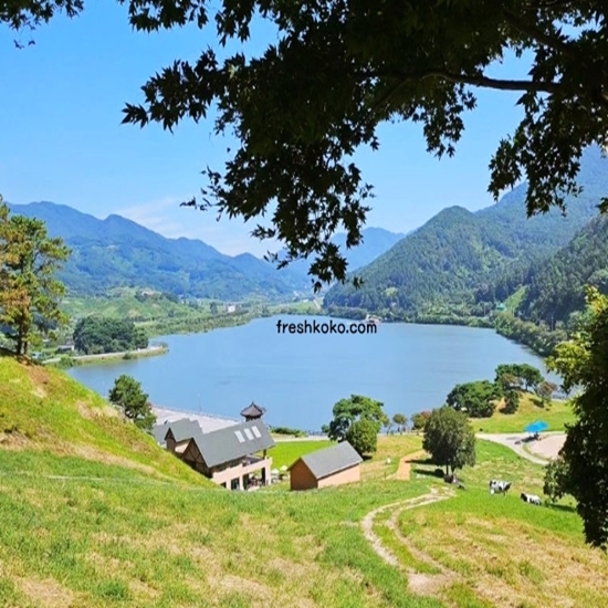 구례 가볼만한곳