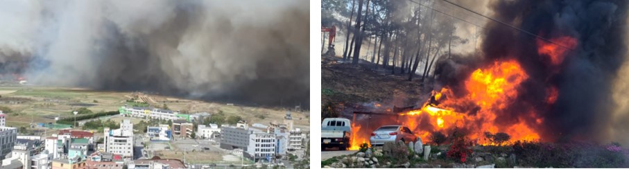 강릉 산불 확산