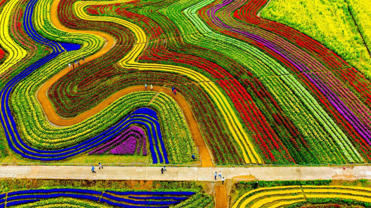 순천만국가정원 봄 28만 평 봄꽃 명소