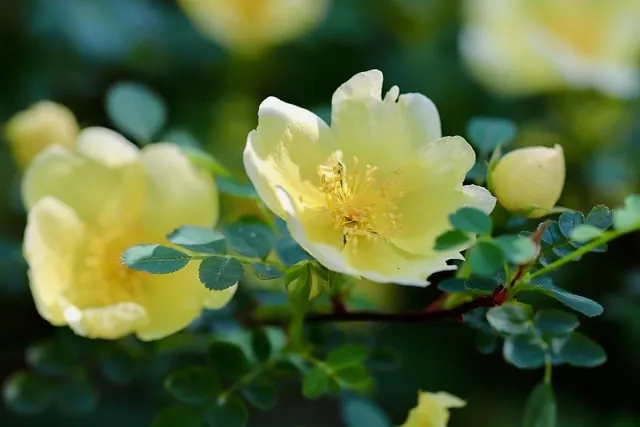 인물 사진 포즈 시선 배경 클린업 자연스럽게 담기_9