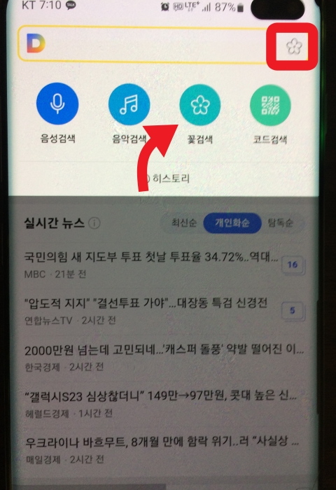 다음-꽃검색