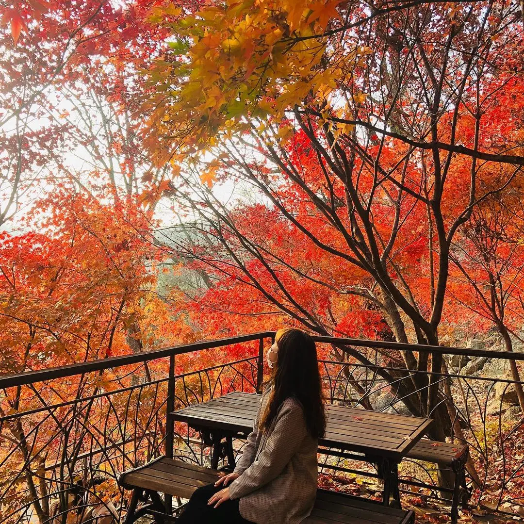 화담숲 예약