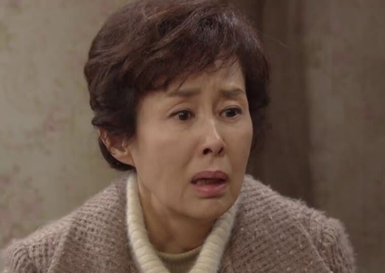 배우-이경진