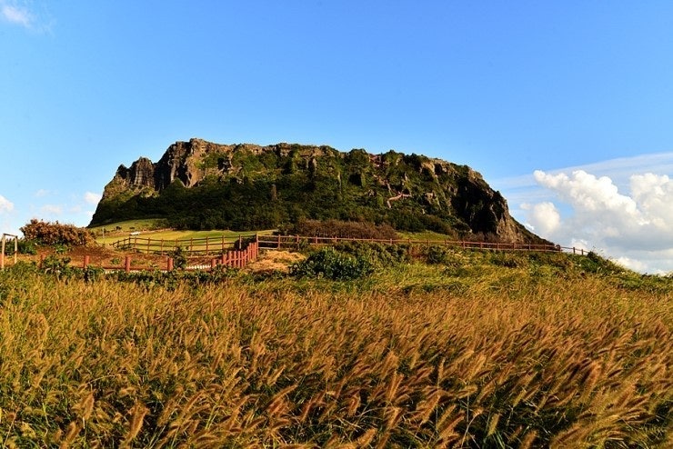 제주 동부 단풍명소 성산일출봉