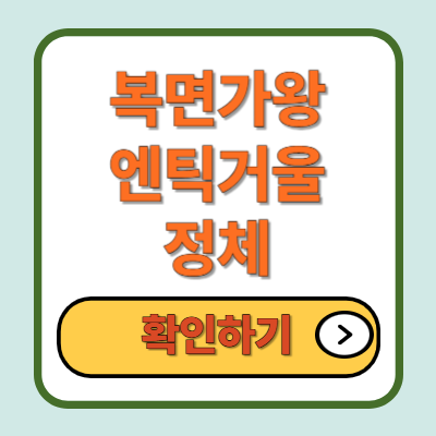 복면가왕 엔틱거울 정체