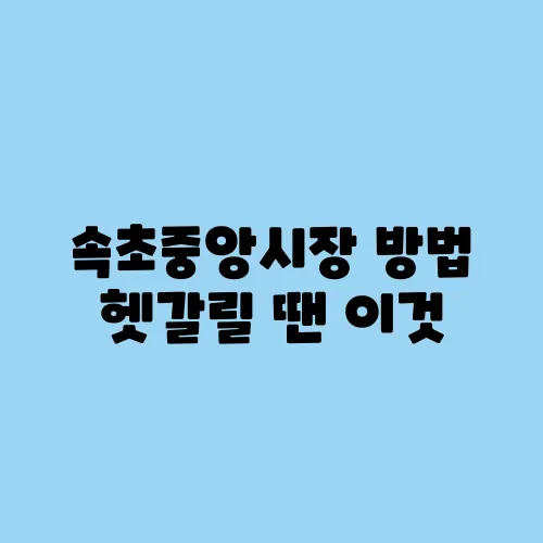 속초중앙시장 방법 헷갈릴 땐 이것