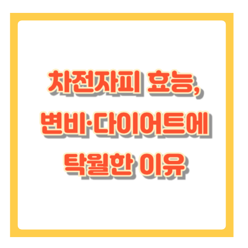 차전자피 효능, 변비&middot;다이어트에 탁월한 이유