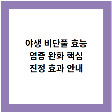 야생 비단풀 효능
염증 완화 핵심
진정 효과 안내