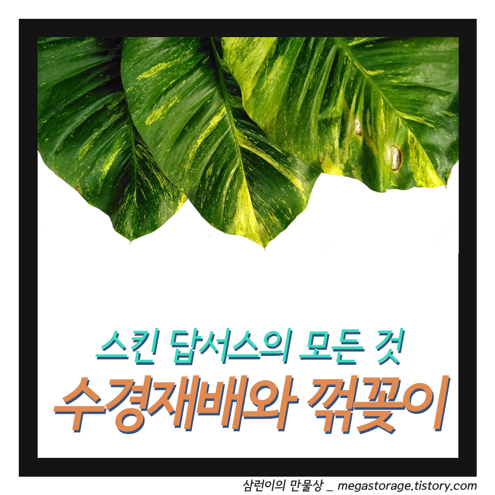 article thumbnail image