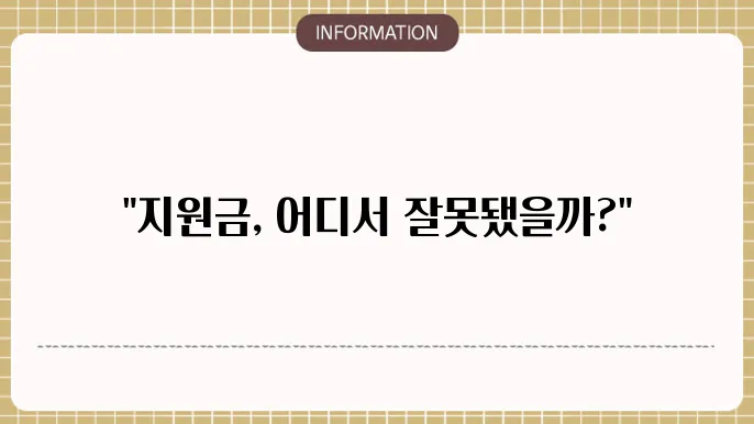 정부 지원금 부정수급 사례 및 방지
