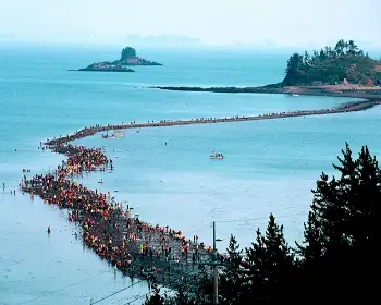 진도 신비의 바닷길 축제_22