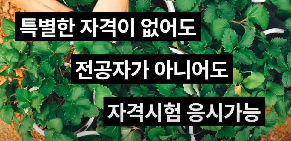 수목치료기술자
