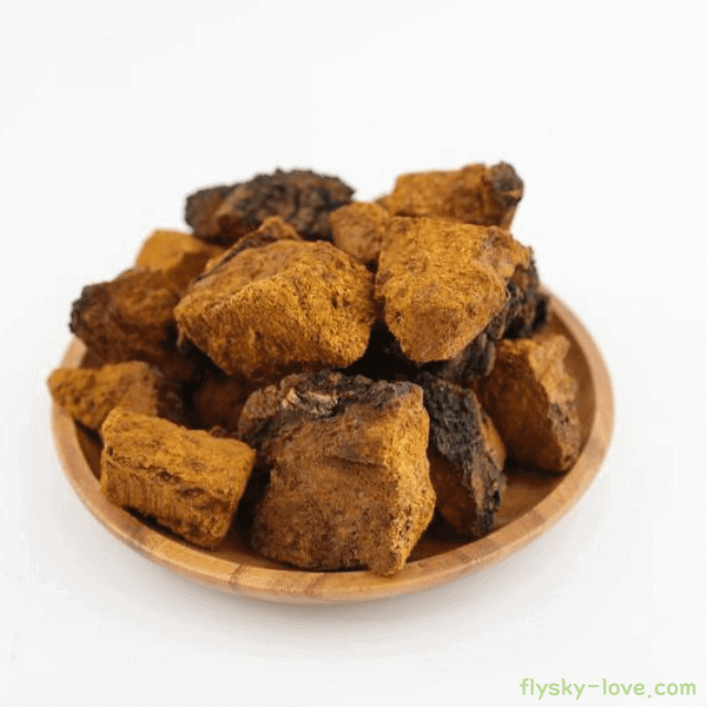 차가버섯 고르는 법